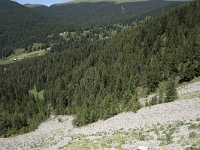 I, Sued Tirol, Sankt Ulrich, Balest 5, Saxifraga-Willem van Kruijsbergen