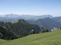 I, Sued Tirol, Sankt Ulrich, Seceda 11, Saxifraga-Willem van Kruijsbergen