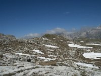 I, Sued-Tirol, Corvara, Naturpark Puez-Geisler 120, Saxifraga-Annemiek Bouwman