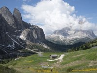 I, Sued-Tirol, Wolkenstein, Groedner Joch 1, Saxifraga-Willem van Kruijsbergen