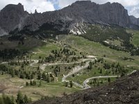 I, Sued-Tirol, Wolkenstein, Groedner Joch 15, Saxifraga-Willem van Kruijsbergen