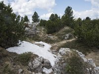 I, Sued-Tirol, Wolkenstein, Groedner Joch 21, Saxifraga-Willem van Kruijsbergen