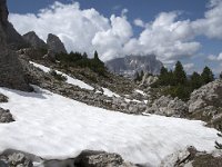 I, Sued-Tirol, Wolkenstein, Groedner Joch 22, Saxifraga-Willem van Kruijsbergen
