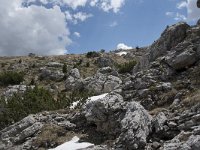 I, Sued-Tirol, Wolkenstein, Groedner Joch 23, Saxifraga-Willem van Kruijsbergen