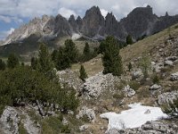 I, Sued-Tirol, Wolkenstein, Groedner Joch 26, Saxifraga-Willem van Kruijsbergen