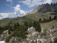 I, Sued-Tirol, Wolkenstein, Groedner Joch 27, Saxifraga-Willem van Kruijsbergen