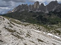 I, Sued-Tirol, Wolkenstein, Groedner Joch 46, Saxifraga-Willem van Kruijsbergen