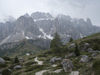 I, Sued-Tirol, Wolkenstein, Groedner Joch 67, Saxifraga-Willem van Kruijsbergen