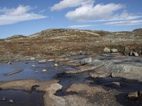 N, Buskerud, Hol, Fagerheim 14, Saxifraga-Willem van Kruijsbergen