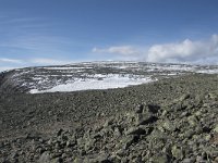 N, Buskerud, Hol, Prestholtskaret 24, Saxifraga-Willem van Kruijsbergen