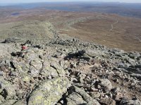 N, Buskerud, Hol, Prestholtskaret 53, Saxifraga-Willem van Kruijsbergen