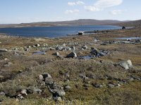 N, Hordaland, Eidfjord, Dyranut 1, Saxifraga-Willem van Kruijsbergen