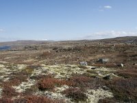 N, Hordaland, Eidfjord, Dyranut 26, Saxifraga-Willem van Kruijsbergen