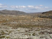 N, Hordaland, Eidfjord, Dyranut 8, Saxifraga-Willem van Kruijsbergen