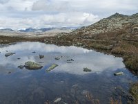 N, Oppland, Sel, Klufttjonne 35, Saxifraga-Annemiek Bouwman