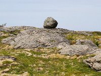 N, Trondelag, Flatanger, Hans Helleren 1, Saxifraga-Bart Vastenhouw