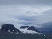 RUS, Archangelsk, Semlja Franza-Iossifa 1, Saxifraga-Franziska Guepner