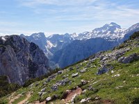SLO, Gorenjska, Bled, Debela Pec 8, Saxifraga-Hans Dekker