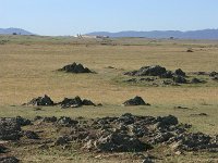 E, Badajos, La Serena, Dientes de Perro 2, Saxifraga-Dirk Hilbers