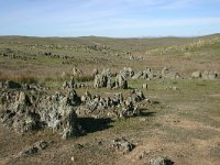E, Badajos, La Serena, Dientes de Perro 7, Saxifraga-Dirk Hilbers