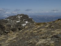 E, Granada, Monachil, Pradollano 34, Saxifraga-Willem van Kruijsbergen