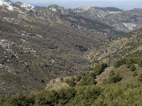 E, Granada, Monachil, Sierra Nevada 2, Saxifraga-Jan van der Straaten