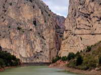 E, Malaga, Alora, El Chorro 2, Saxifraga-Hans Dekker