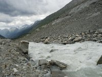 CH, Wallis, Blatten, Loetschental 23, Saxifraga-Willem van Kruijsbergen