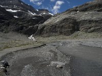 CH, Wallis, Leukerbad, Lammerenboden 14, Saxifraga-Willem van Kruijsbergen