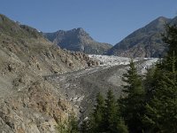 CH, Wallis, Riederalp, Grosser Aletschgletscher 33, Saxifraga-Willem van Kruijsbergen