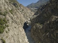 CH, Wallis, Riederalp, Massa 5, Saxifraga-Willem van Kruijsbergen