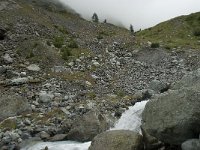 CH, Wallis, Saas Almagell, Mattmark 10, Saxifraga-Willem van Kruijsbergen