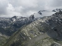 CH, Wallis, Saas Almagell, Seewjinenberg 1, Saxifraga-Willem van Kruijsbergen