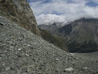 CH, Wallis, Saas Fee, Egginerjoch 8, Saxifraga-Willem van Kruijsbergen