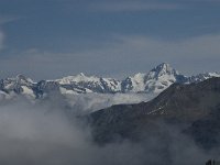 CH, Wallis, Saas Fee, Felskinn 11, Saxifraga-Willem van Kruijsbergen