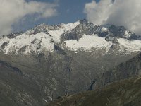 CH, Wallis, Saas Fee, Spielboden, Lagginhorn 2, Saxifraga-Willem van Kruijsbergen