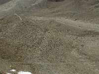 CH, Wallis, Saas Grund, Hohsaas-Weissmieshuette 2, Saxifraga-Willem van Kruijsbergen