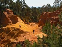 F, Vaucluse, Rousillion 2, Saxifraga-Hans Dekker