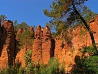 F, Vaucluse, Rousillion 4, Saxifraga-Hans Dekker