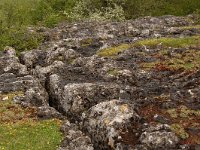 F, Lozere, Fraissinet-de-Fourques, Nimes-le-Vieux 52, Saxifraga-Annemiek Bouwman