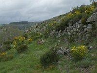 F, Lozere, Fraissinet-de-Lozere 7, Saxifraga-Willem van Kruijsbergen