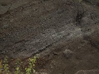 D, Rheinland-Pfalz, Gerolstein, Rockskyll 11, Saxifraga-Willem van Kruijsbergen