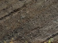 D, Rheinland-Pfalz, Gerolstein, Rockskyll 13, Saxifraga-Willem van Kruijsbergen