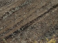 D, Rheinland-Pfalz, Gerolstein, Rockskyll 14, Saxifraga-Willem van Kruijsbergen