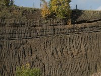 D, Rheinland-Pfalz, Gerolstein, Rockskyll 27, Saxifraga-Willem van Kruijsbergen