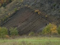 D, Rheinland-Pfalz, Gerolstein, Rockskyll 8, Saxifraga-Willem van Kruijsbergen