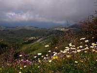 GR, Corfu, Strinilas 2, Saxifraga-Hans Dekker