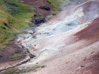 IS, Nordurland eystra, Nordurbing, Peistareykir 12, Saxifraga-Mira, Hoogenboom