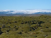 IS, Sudurland, Rangarbing ytra, Eldhraun 1, Saxifraga-Dick Hoogenboom