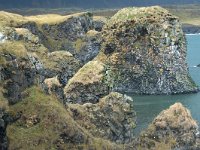 IS, Vesturland, Snaefellsbaer, Budir 1, Saxifraga-Mira Hoogenboom